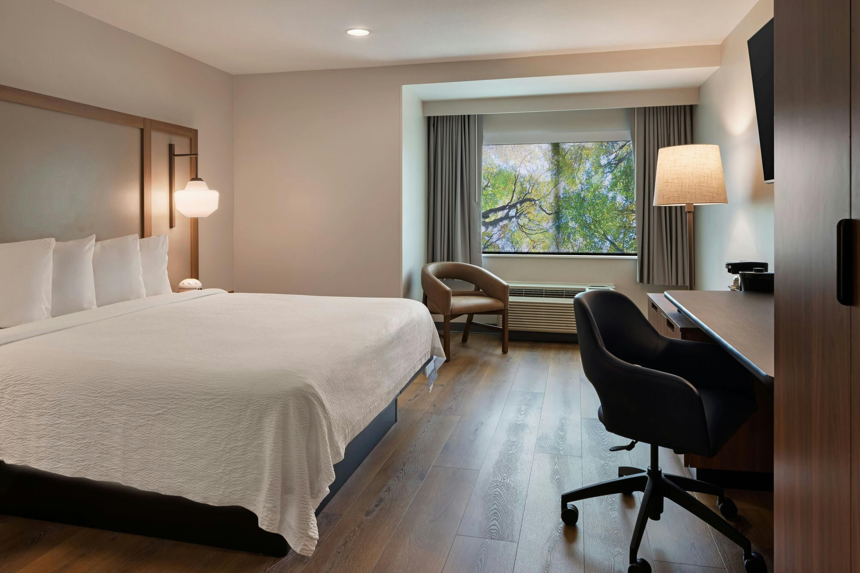 חדר שינה תמונה