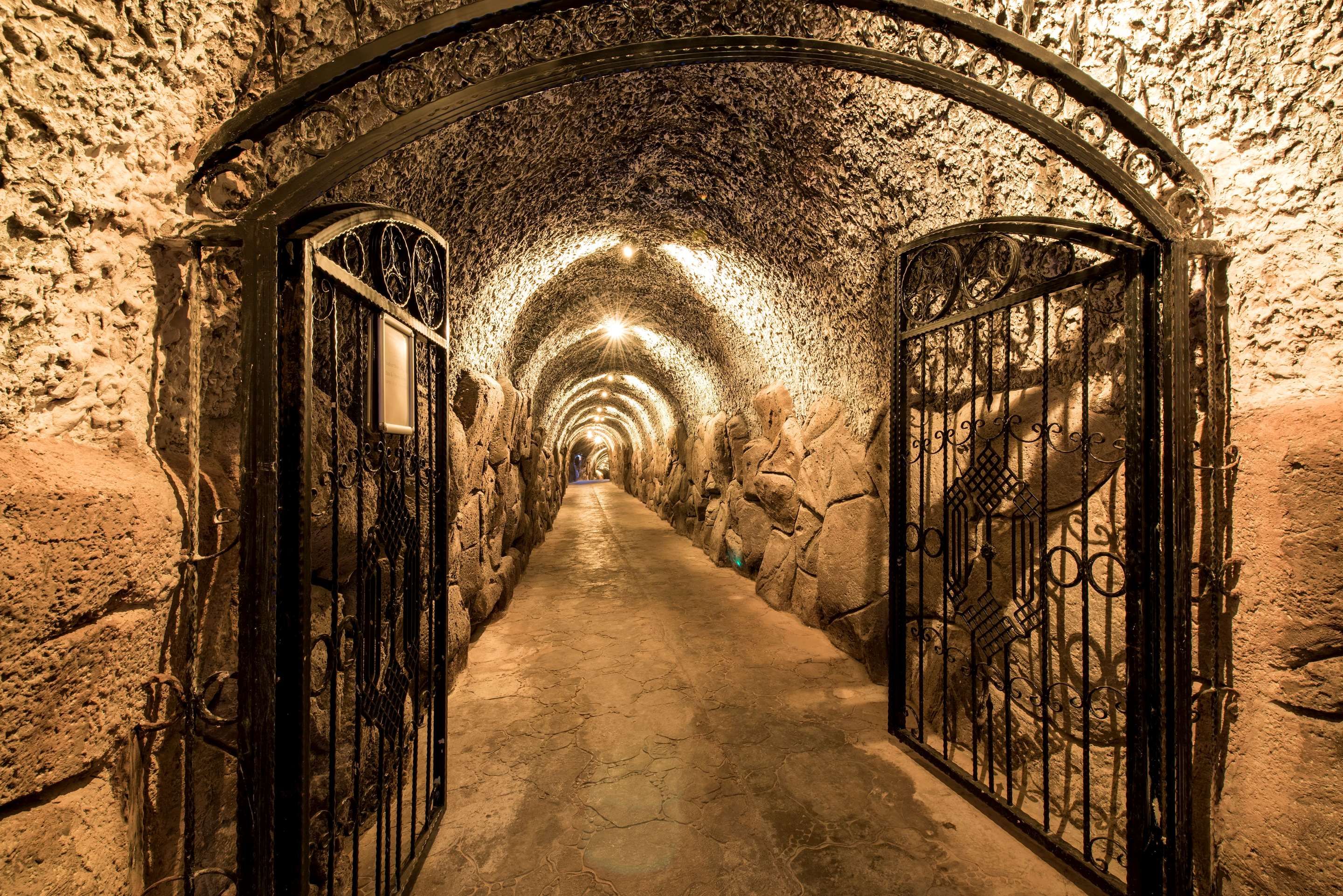 נוחות המלון