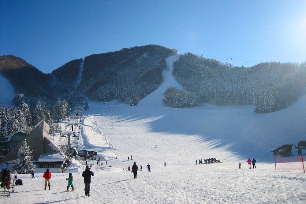 נוחות המלון תמונה