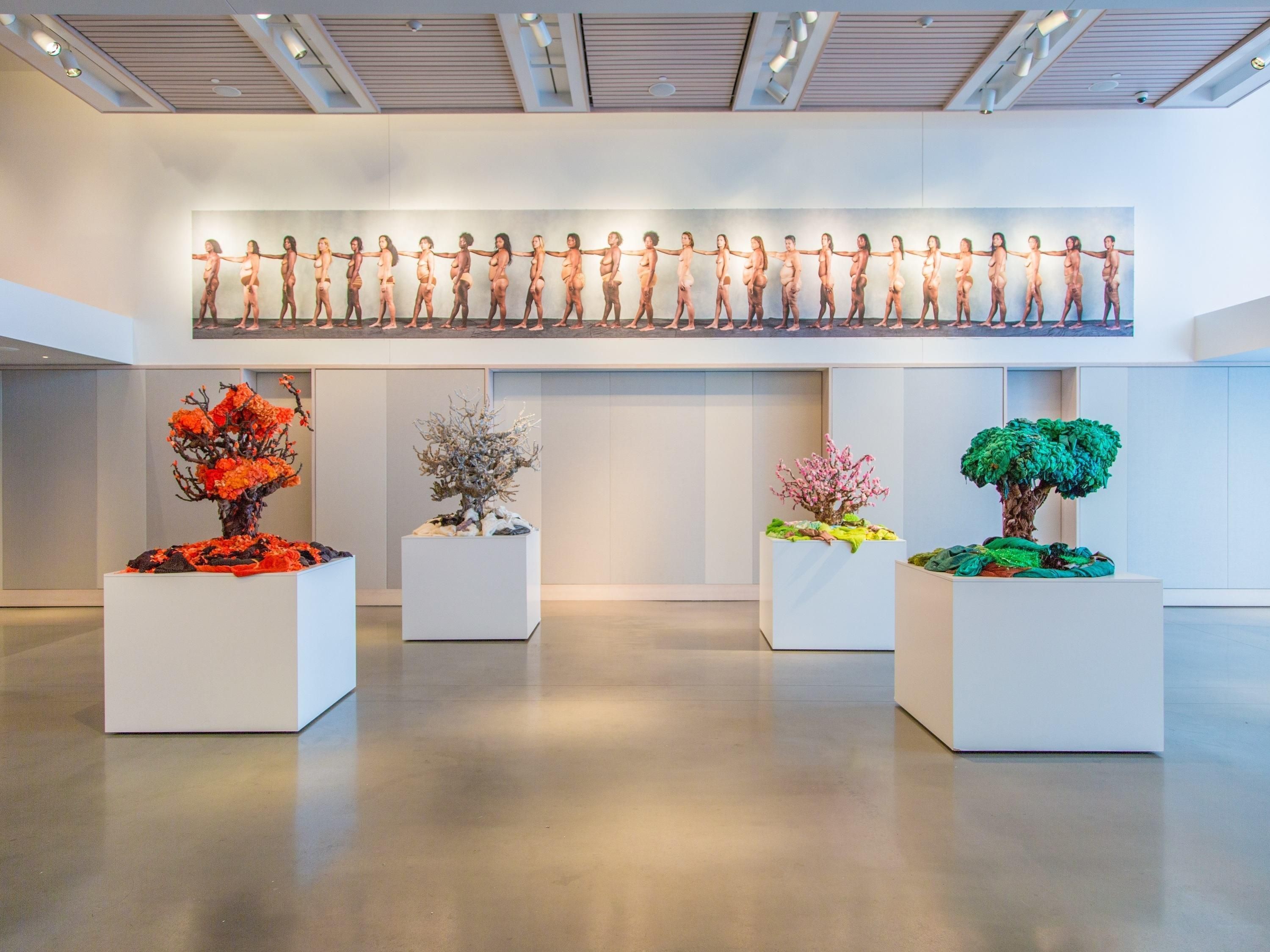 בניין תמונה