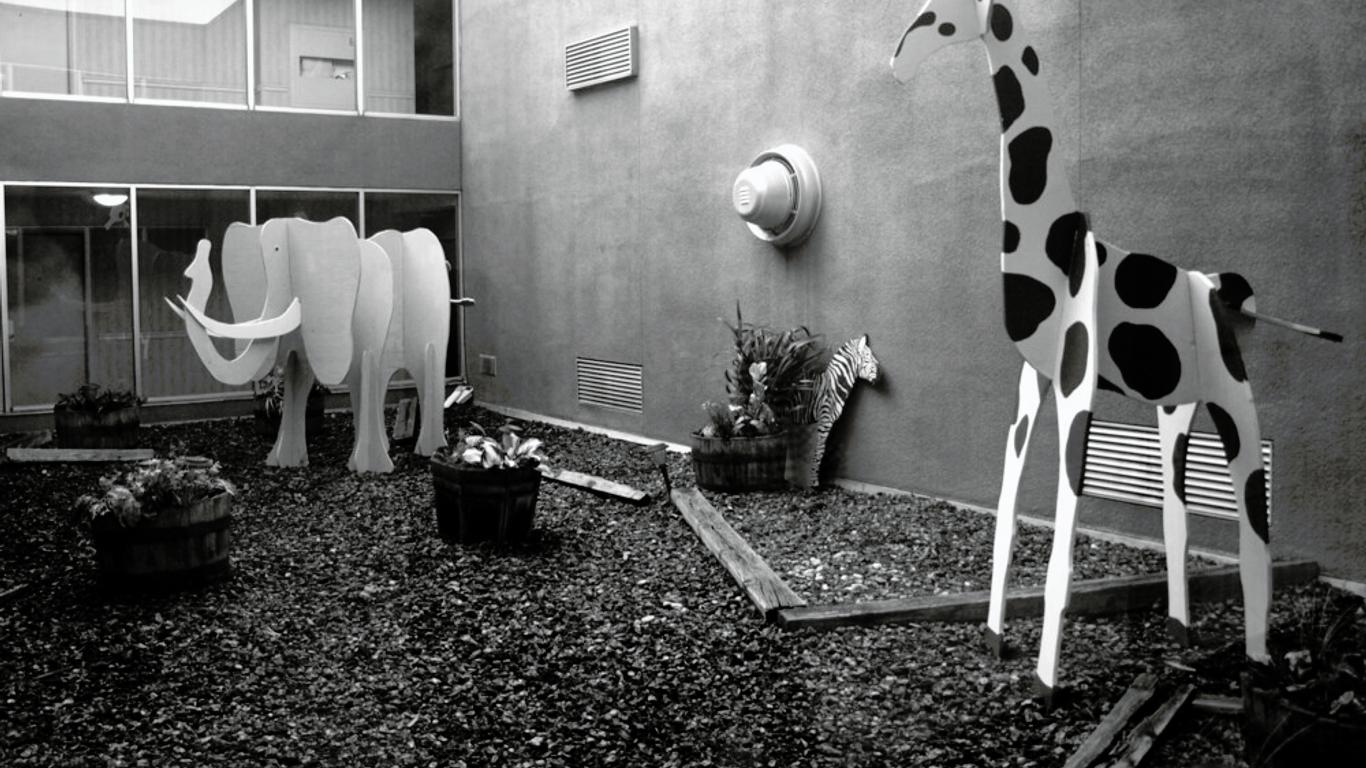 Safari Inn Downtown Boise