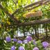 נוף חיצוני