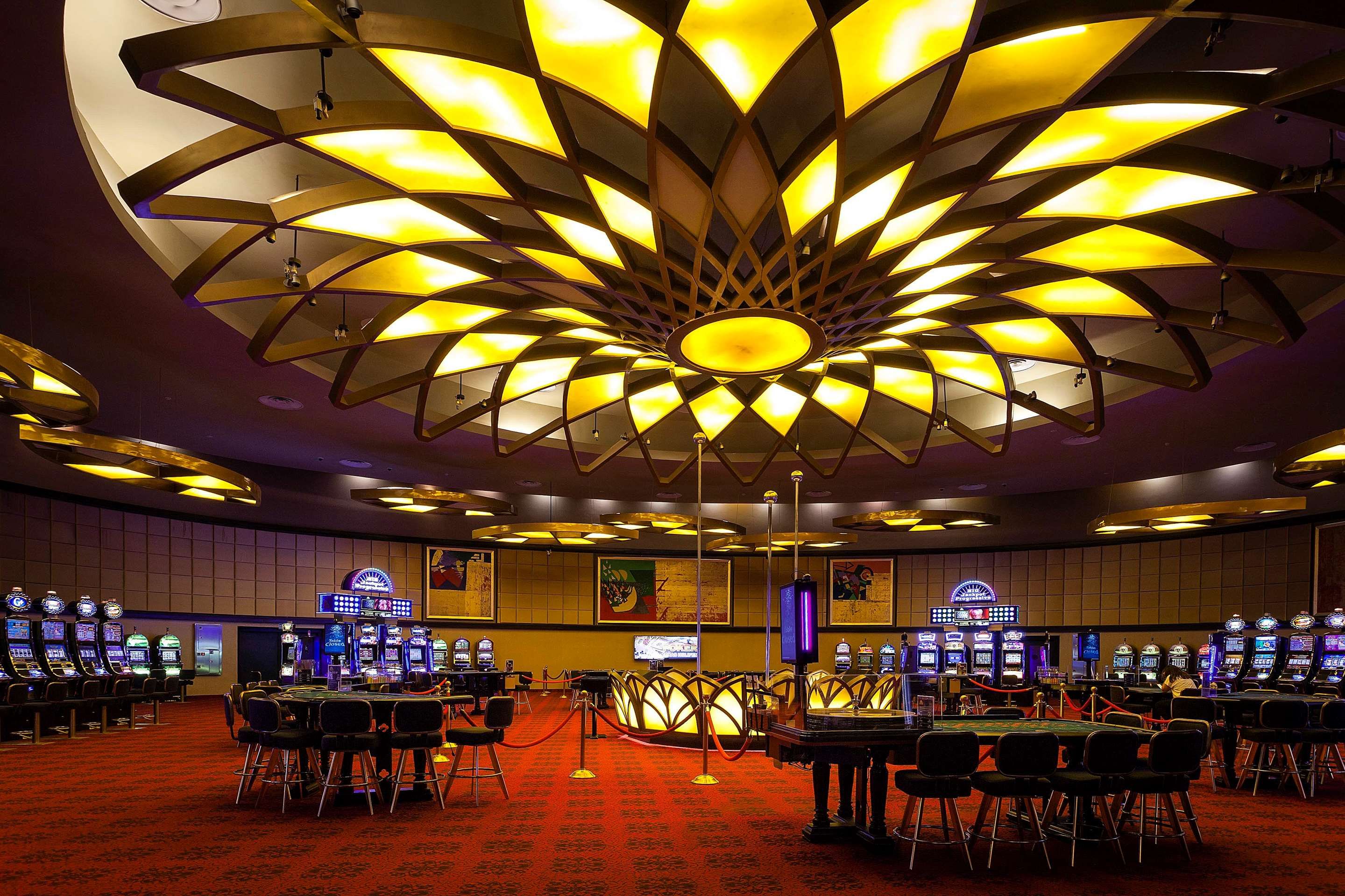 נוחות המלון