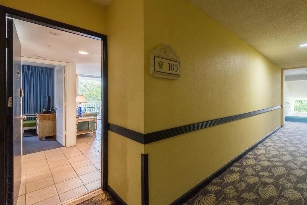 מסדרון תמונה