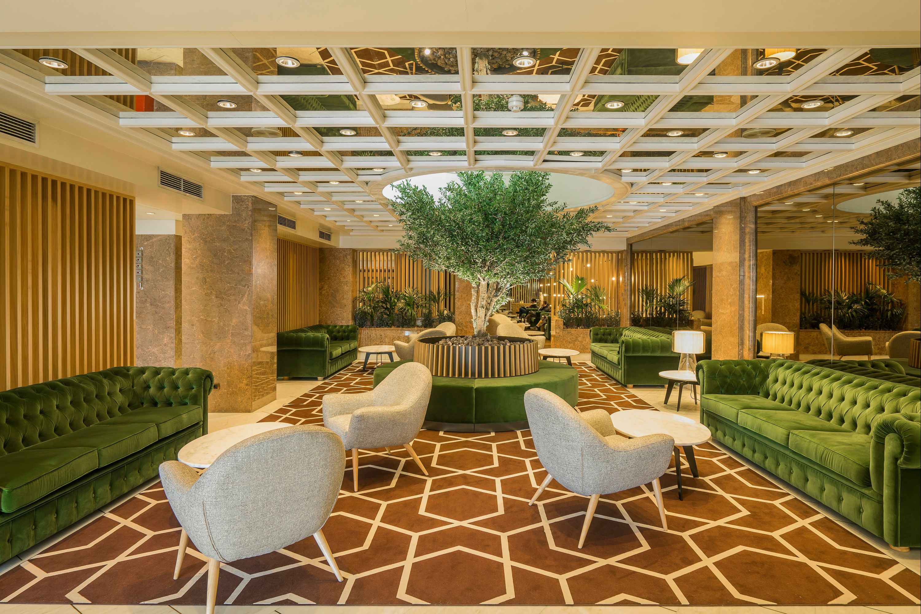 טרקלין תמונה