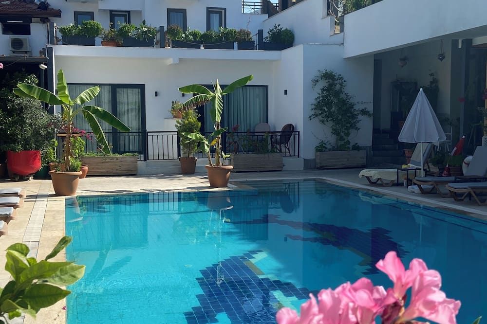 בריכה תמונה