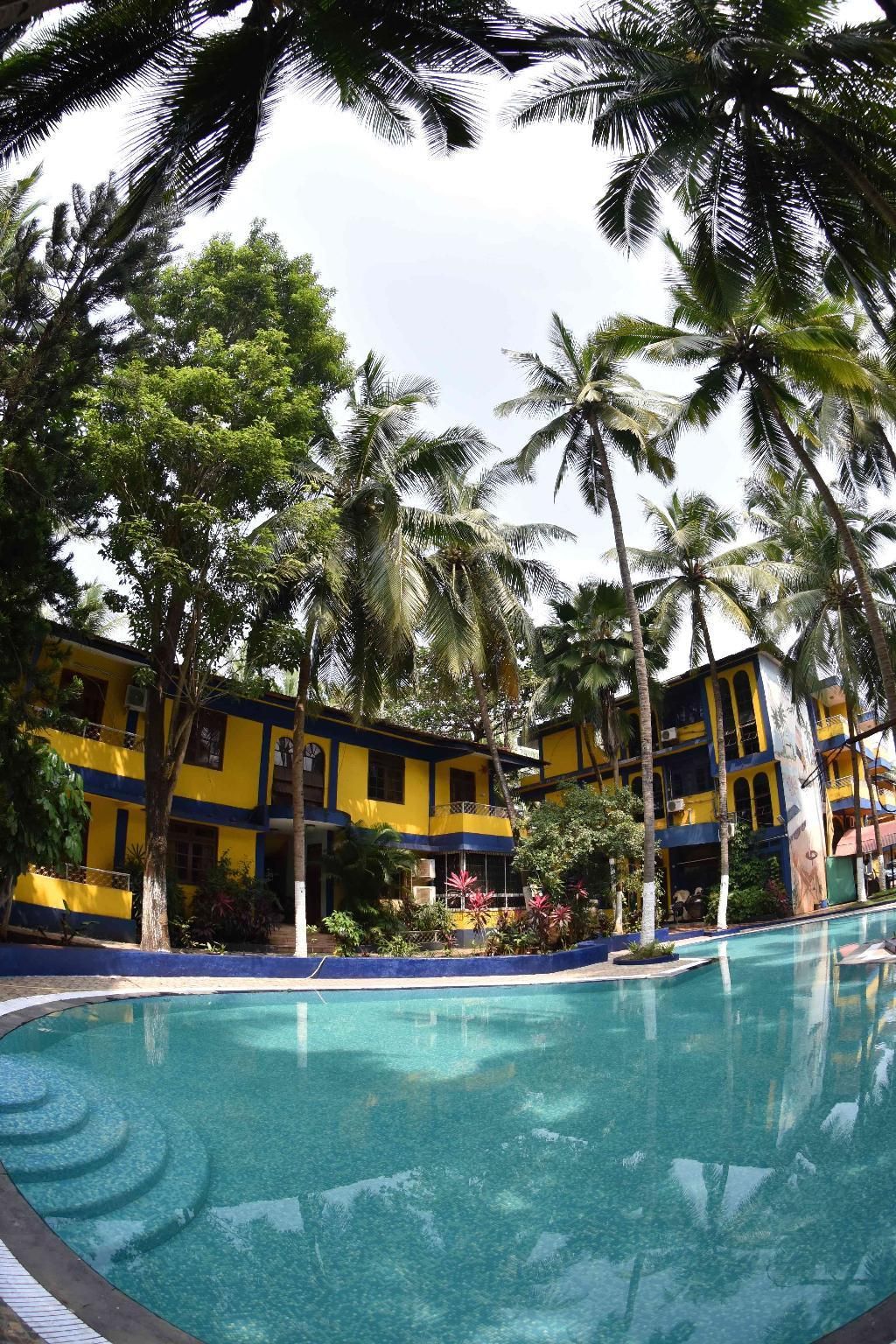 בריכה תמונה