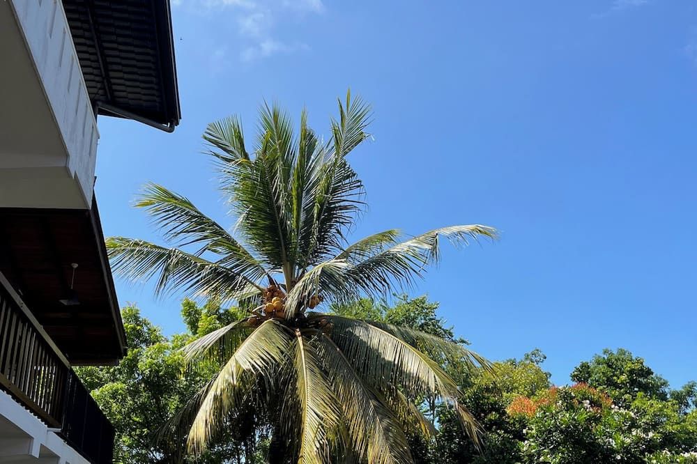 נוף חיצוני