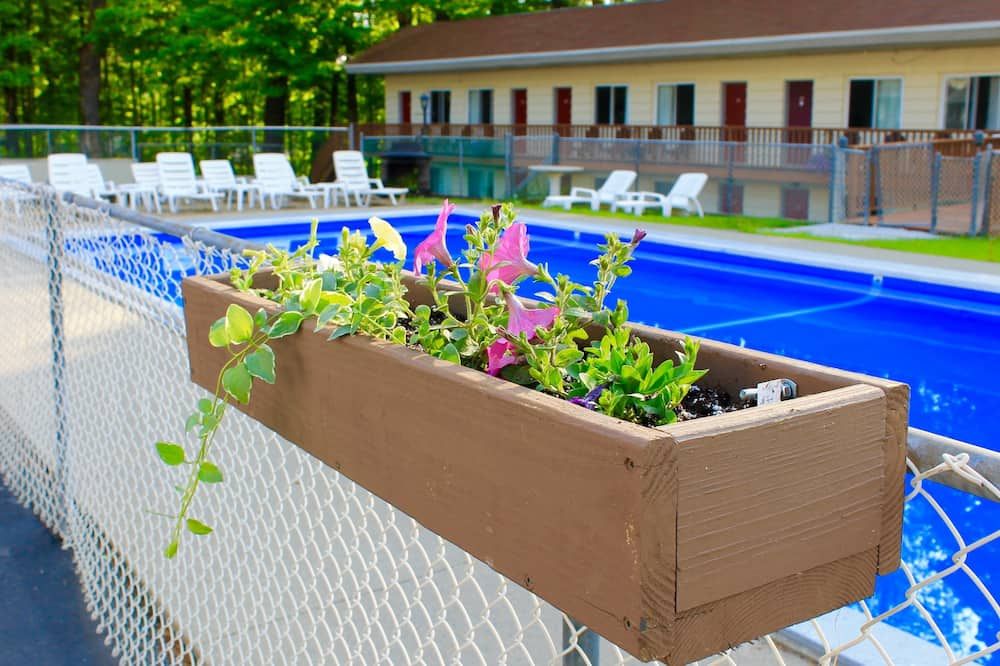 בריכה תמונה