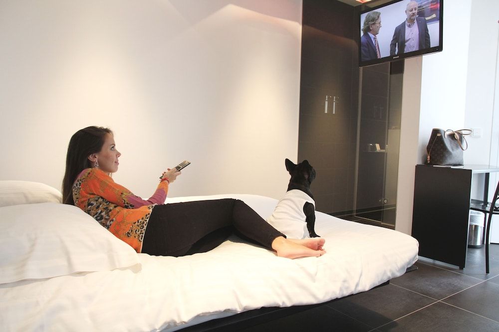 ידידותי לחיות מחמד