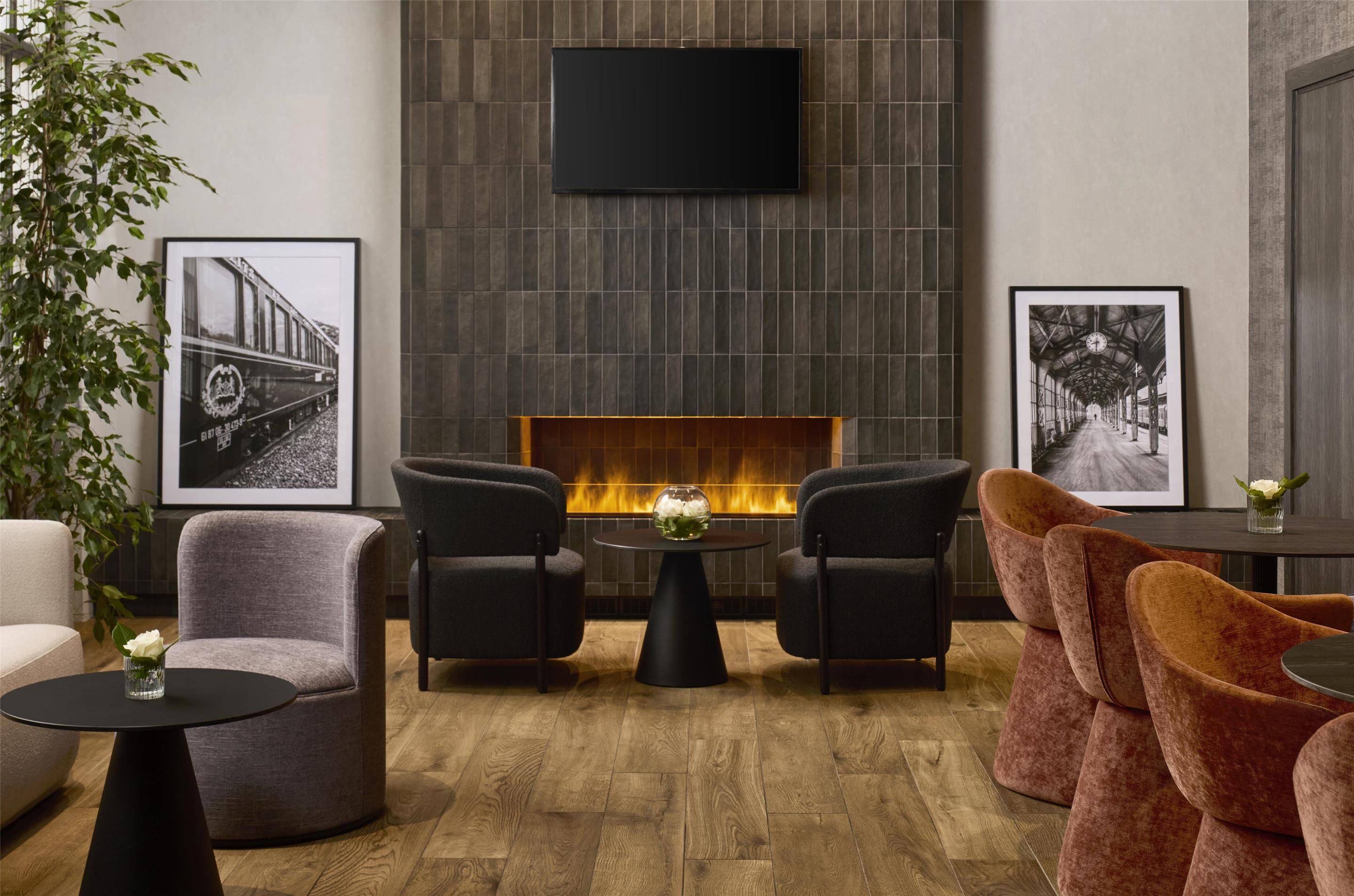 טרקלין תמונה