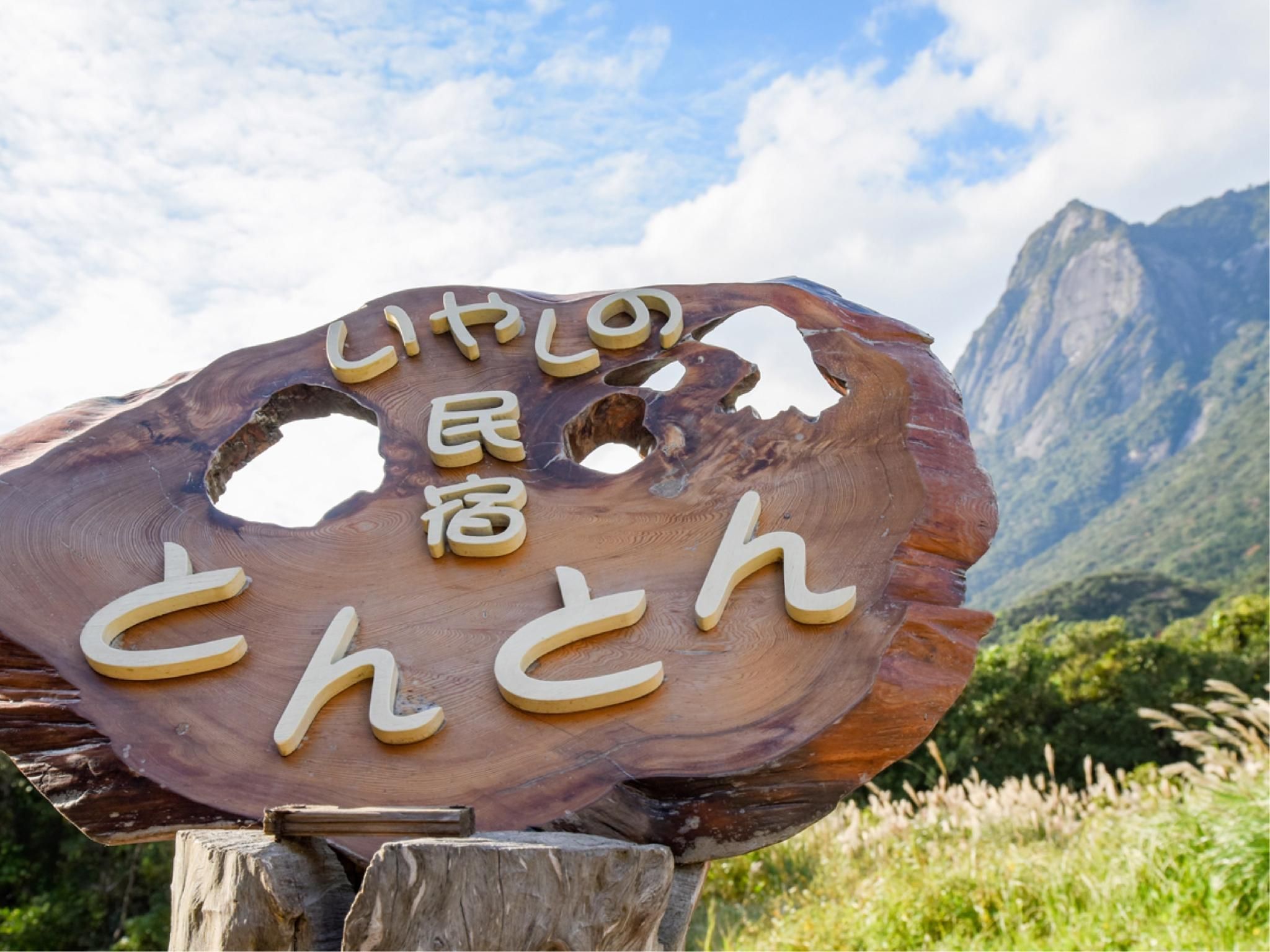 בניין תמונה