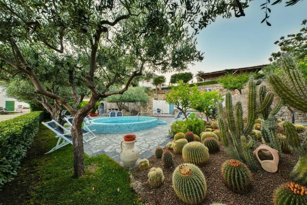 בריכה תמונה