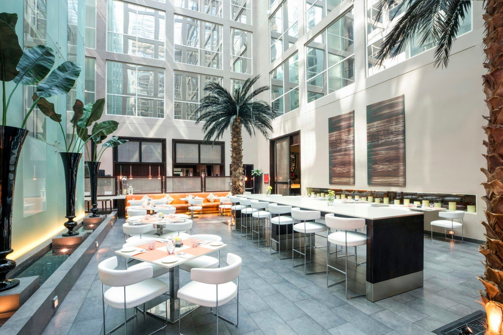 מסעדה תמונה