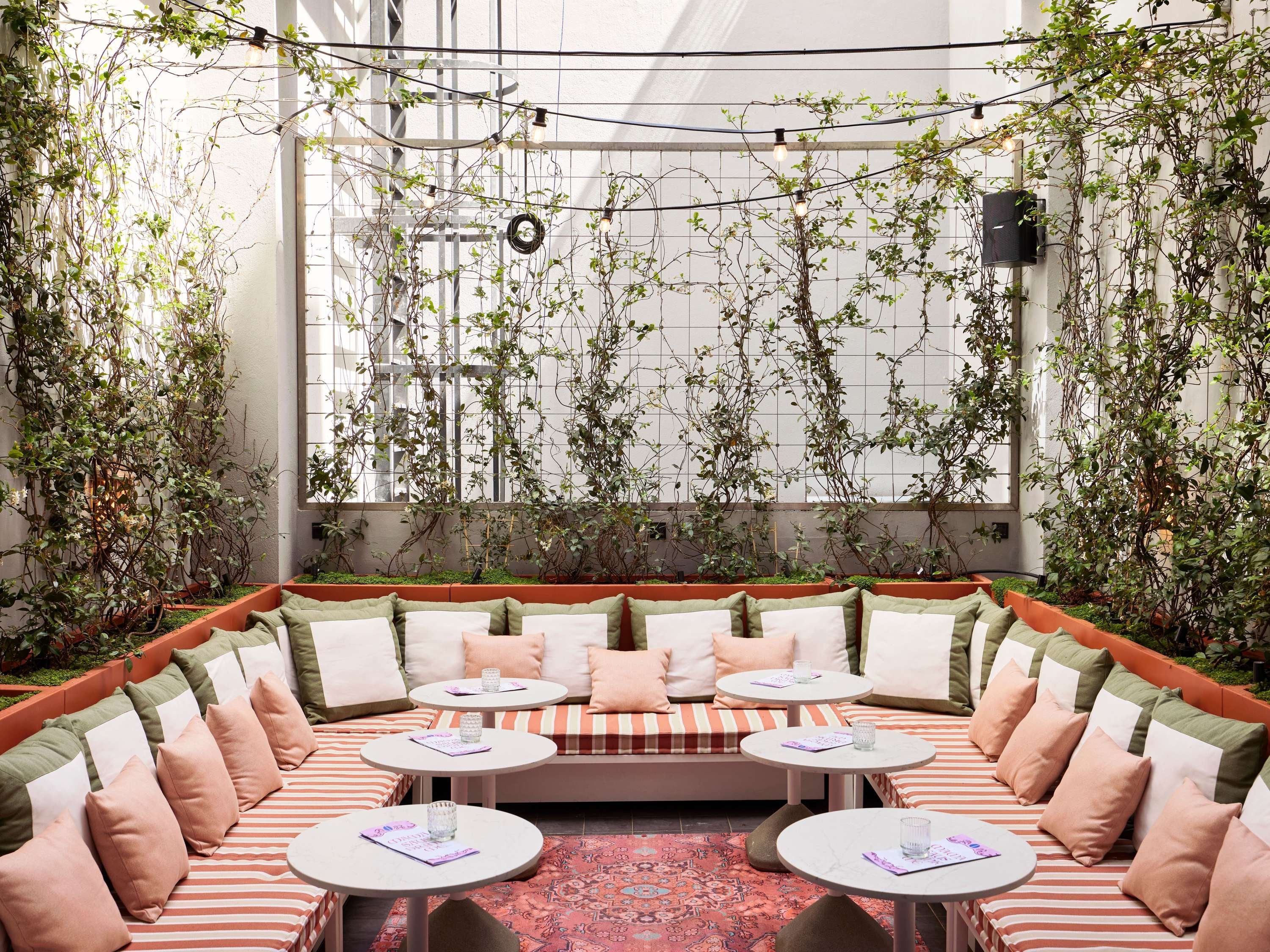 טרקלין תמונה