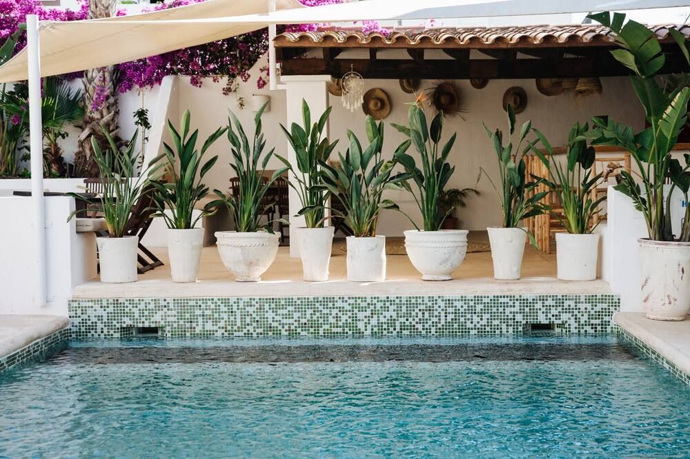 בריכה תמונה