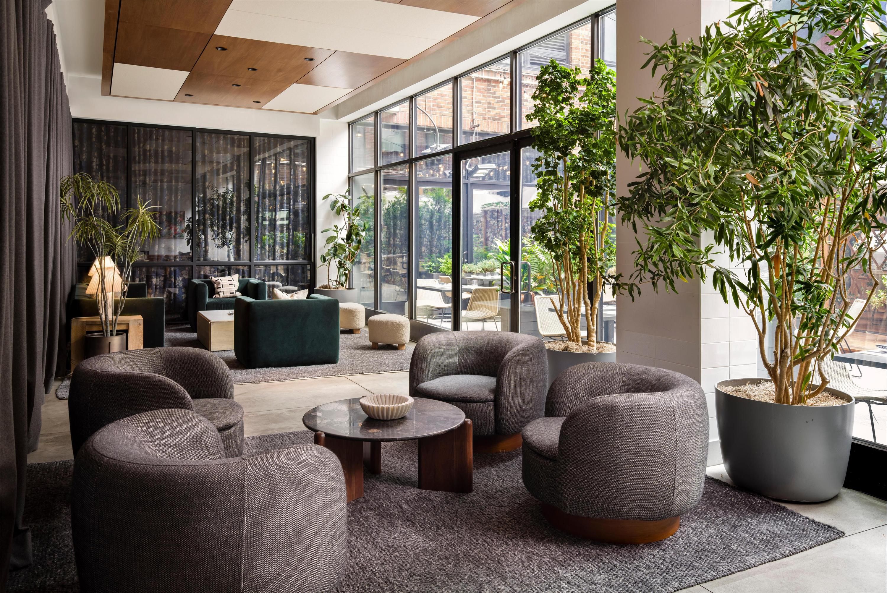 טרקלין תמונה