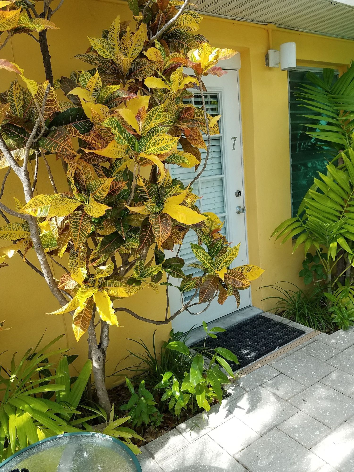 נוף חיצוני