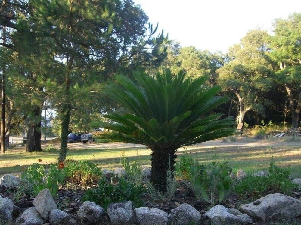 נוף חיצוני תמונה