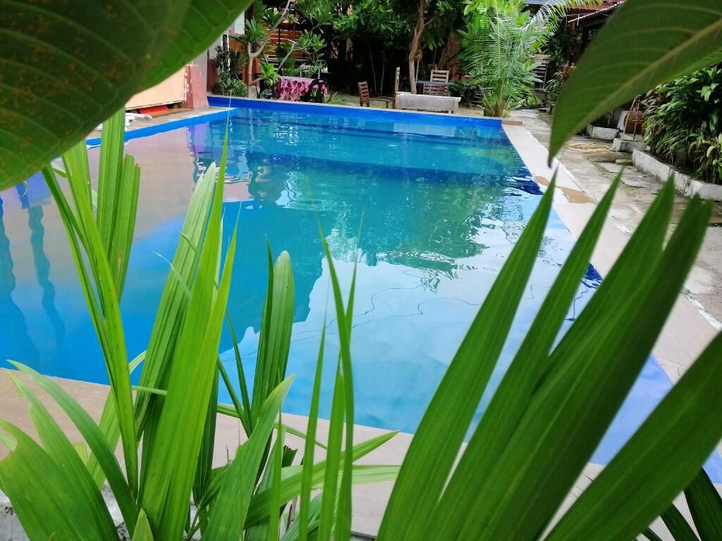 בריכה תמונה