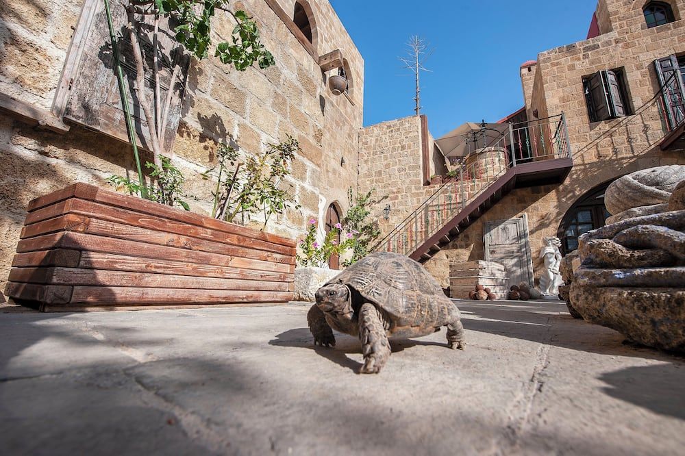 אחר