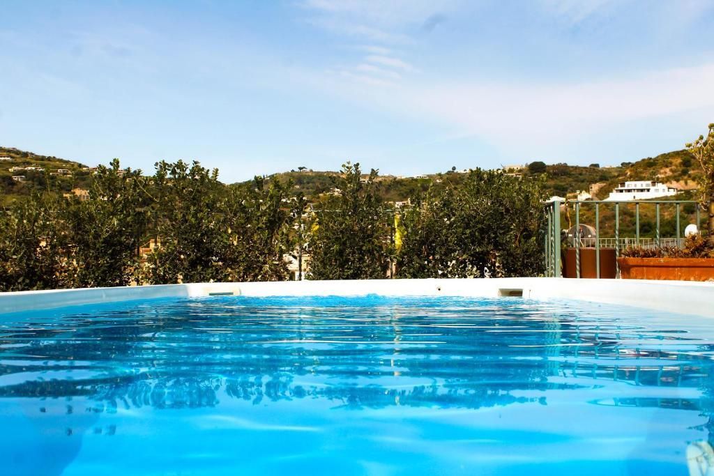 בריכה תמונה