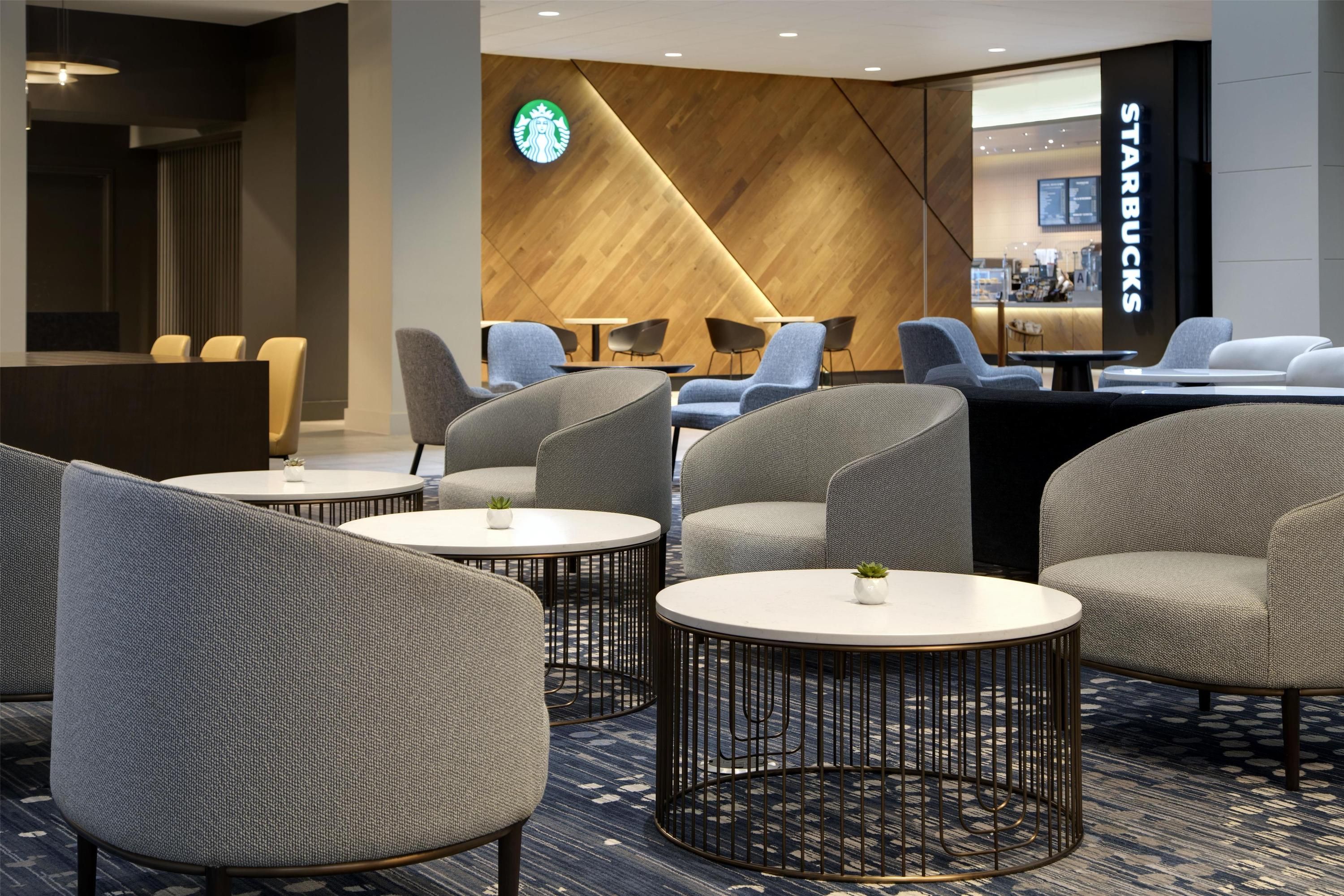 טרקלין תמונה