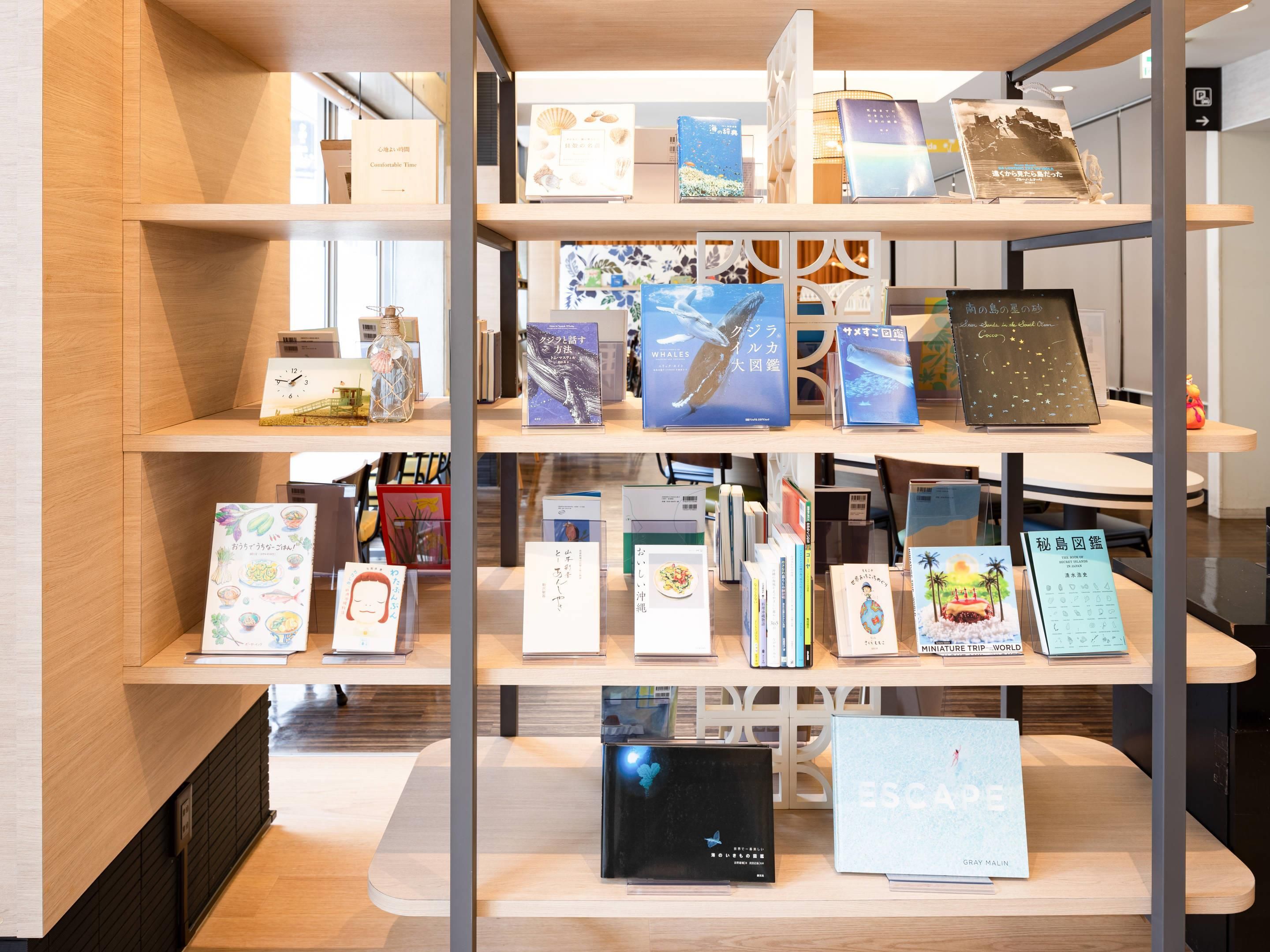 נוחות המלון