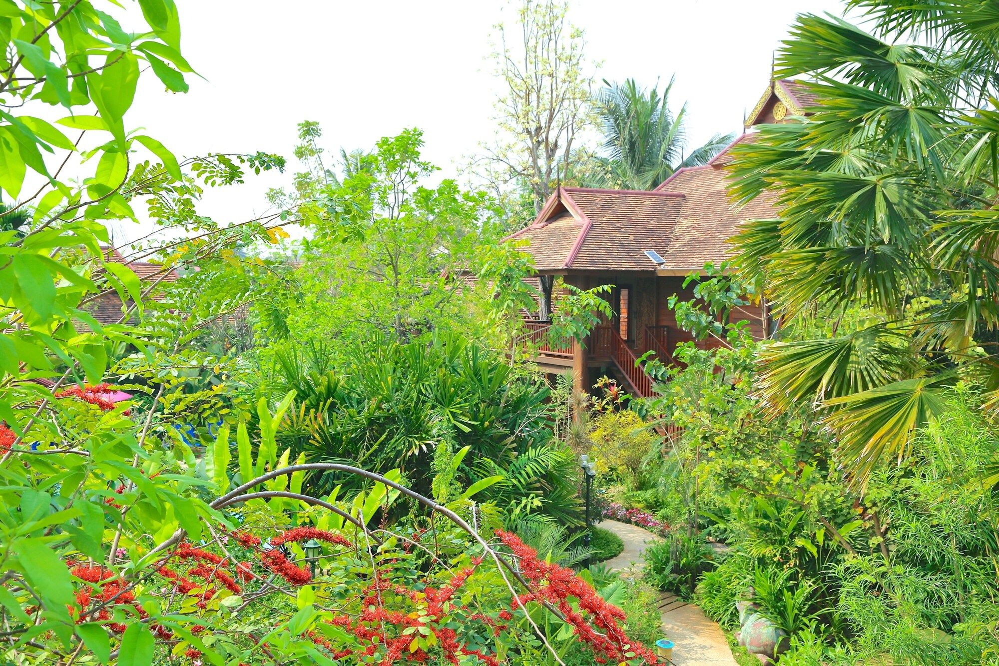 נוף חיצוני