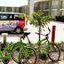 אחר