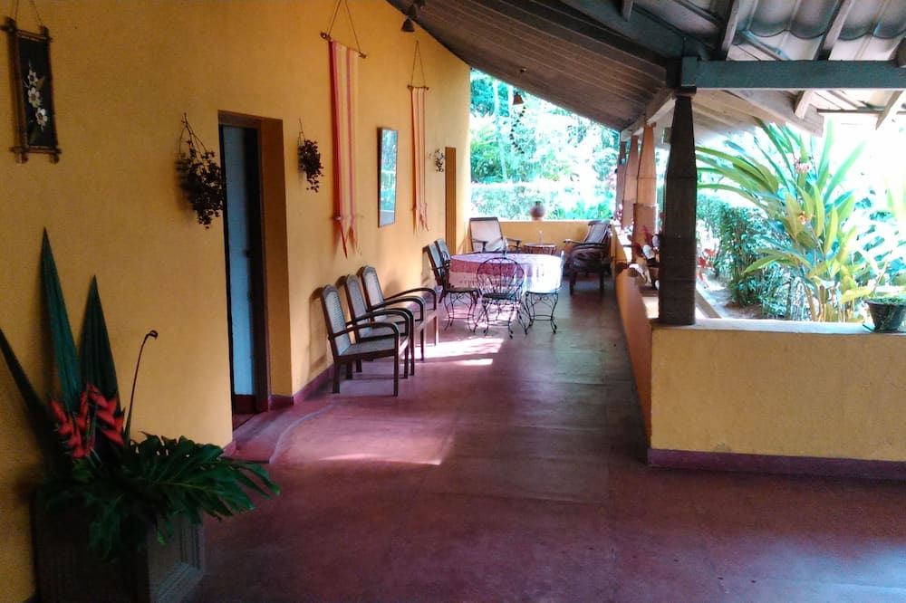 פטיו