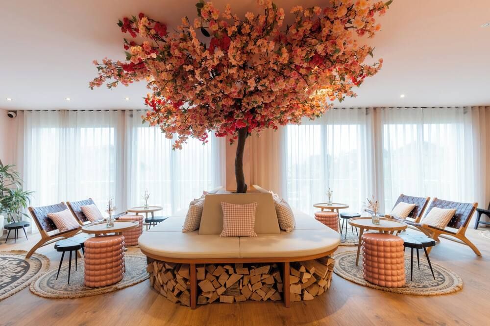 טרקלין תמונה