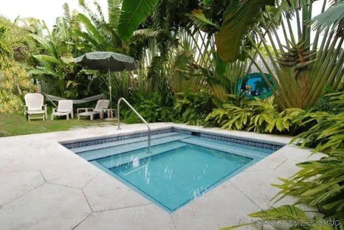 בריכה תמונה