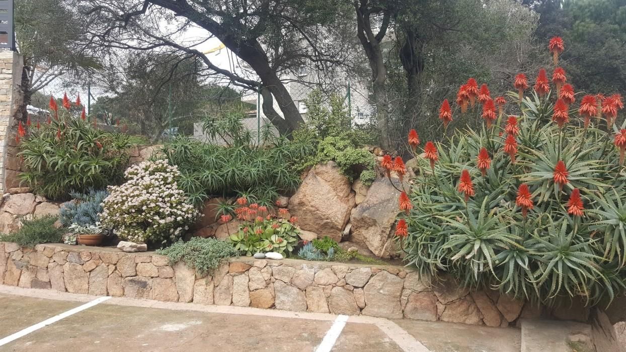 נוף חיצוני