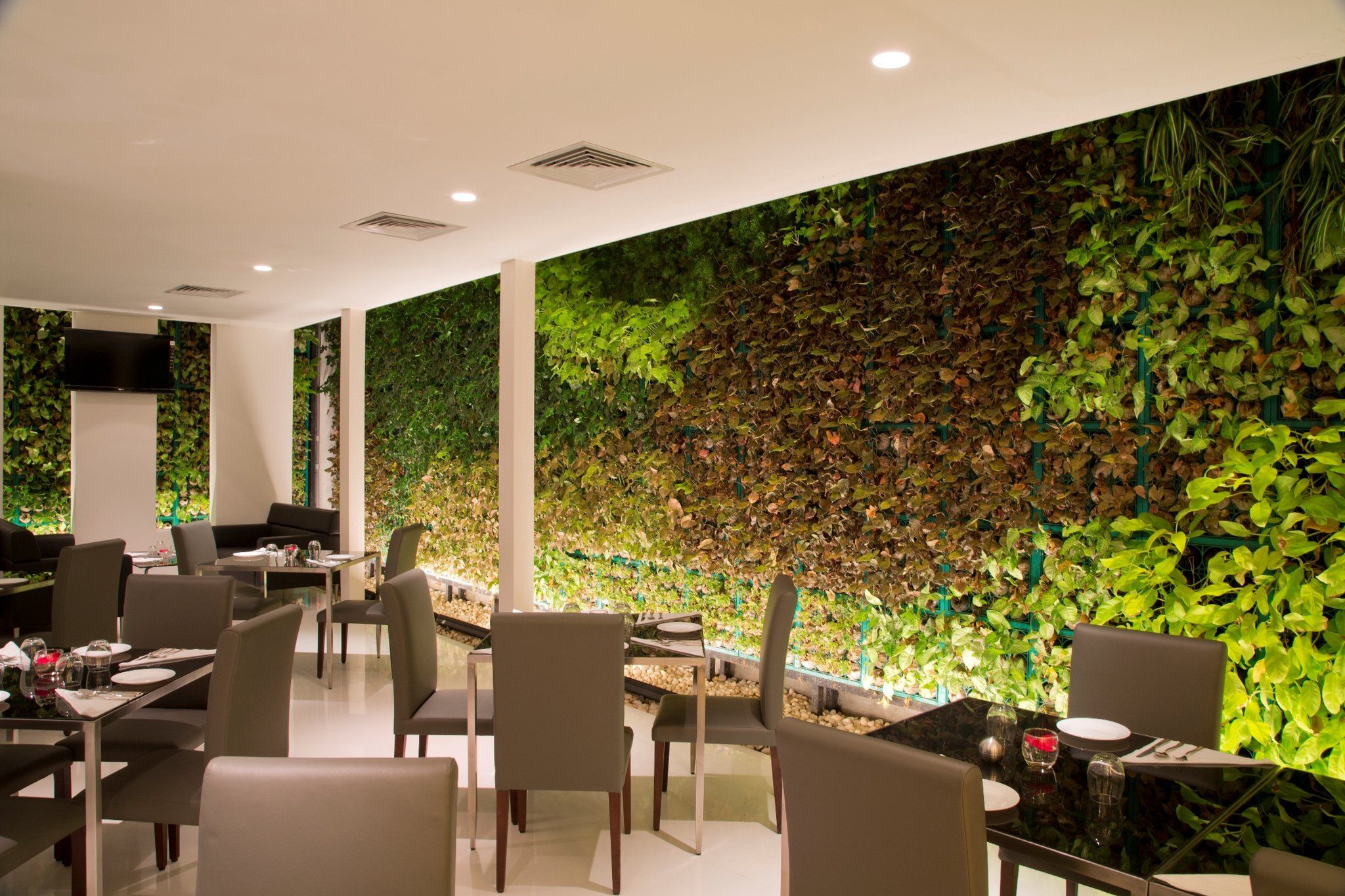 מסעדה תמונה