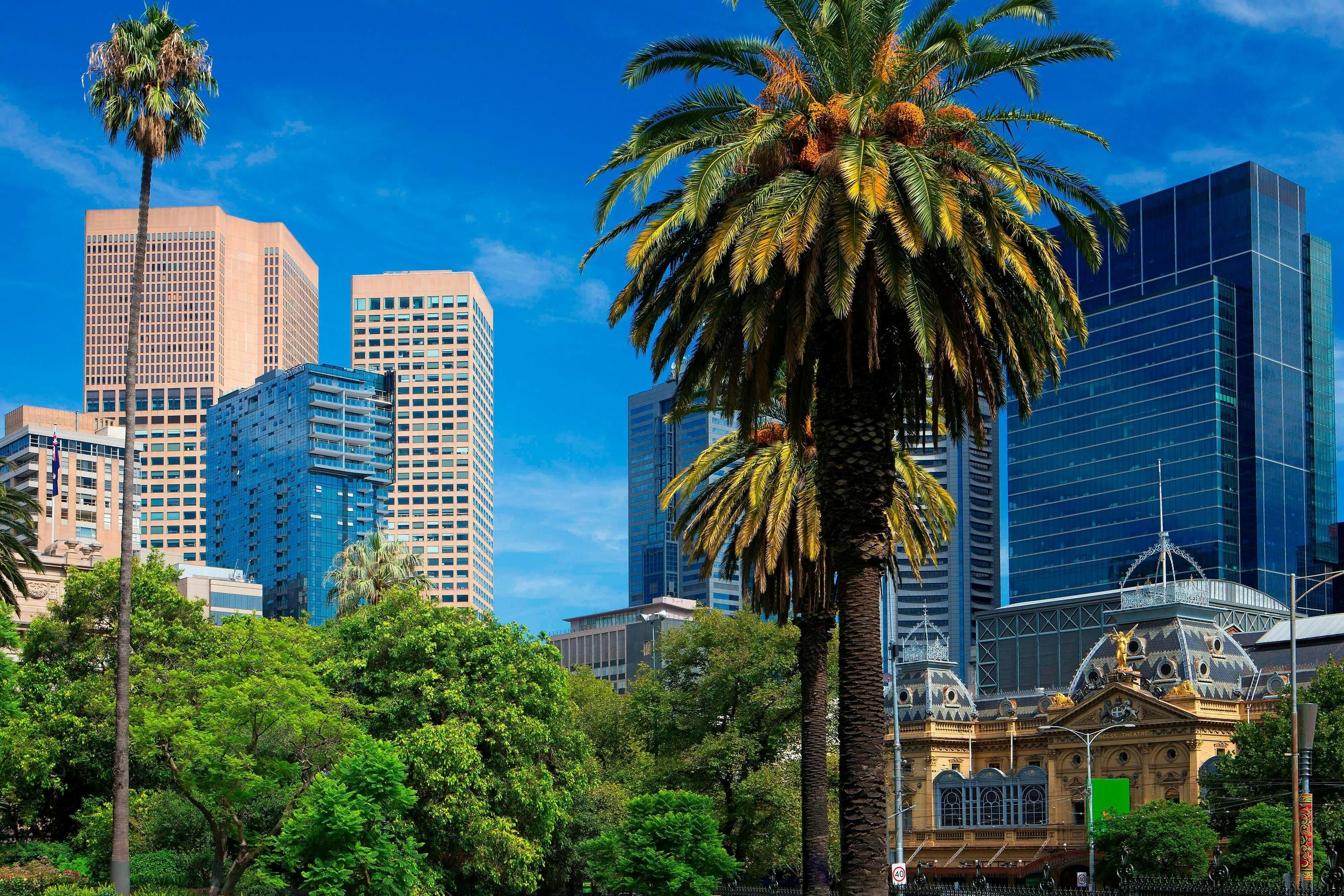 נוף חיצוני