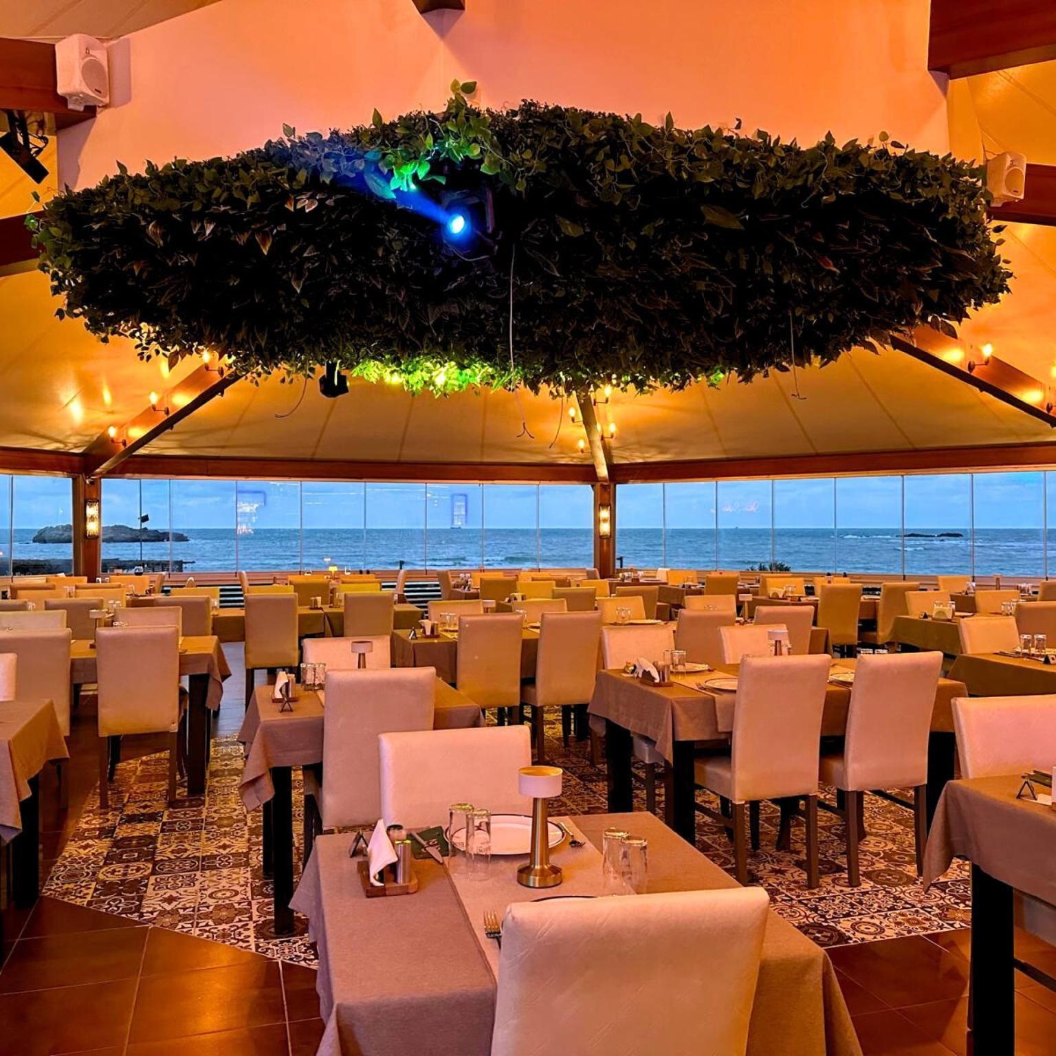 מסעדה תמונה