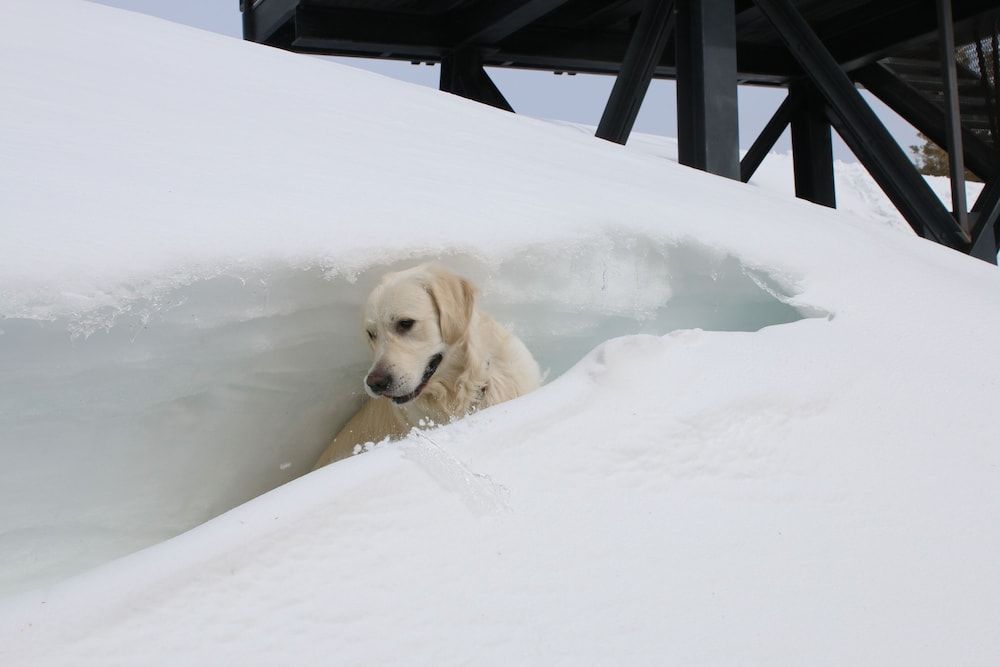 נוחות המלון תמונה