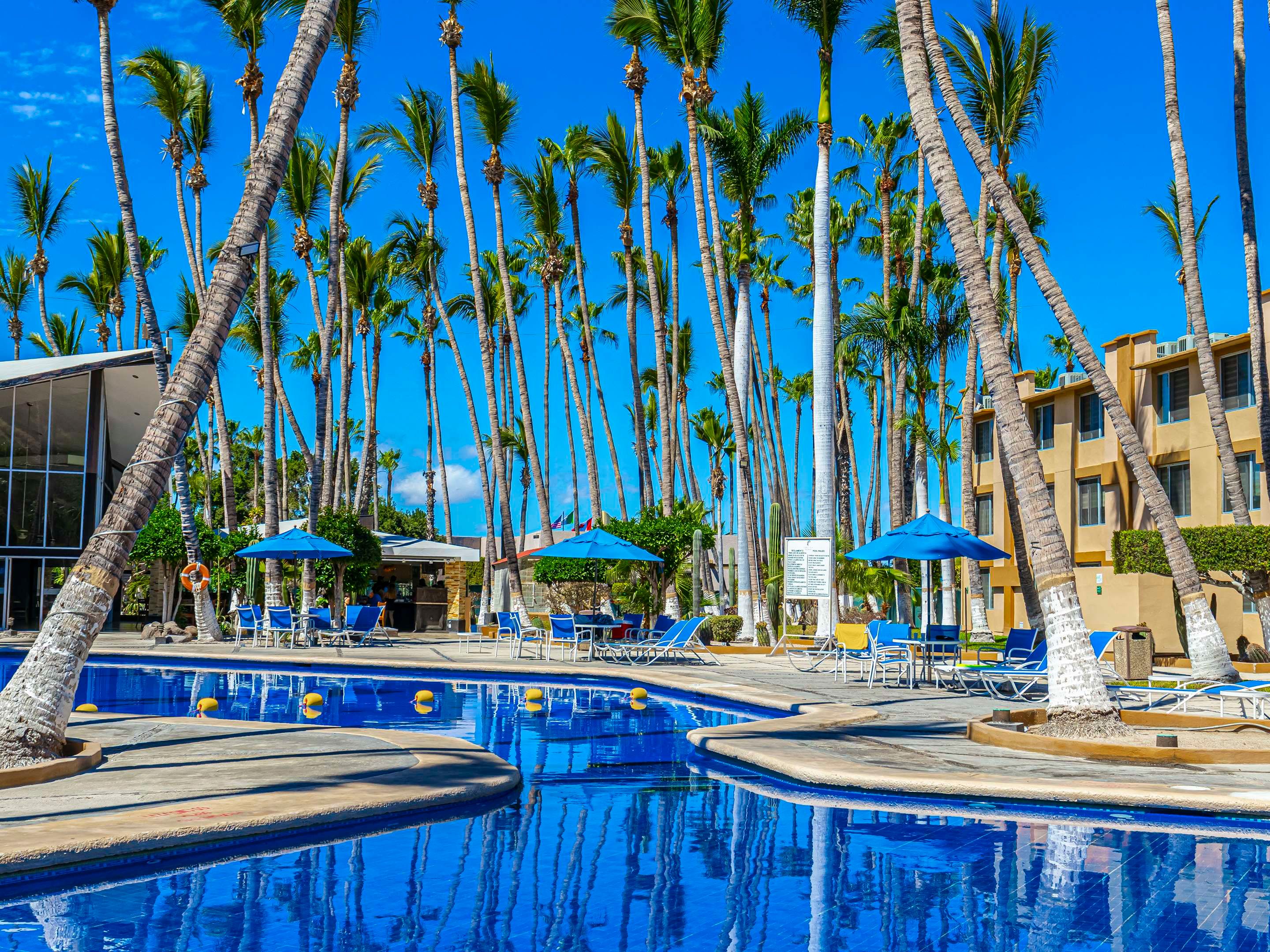 בריכה תמונה