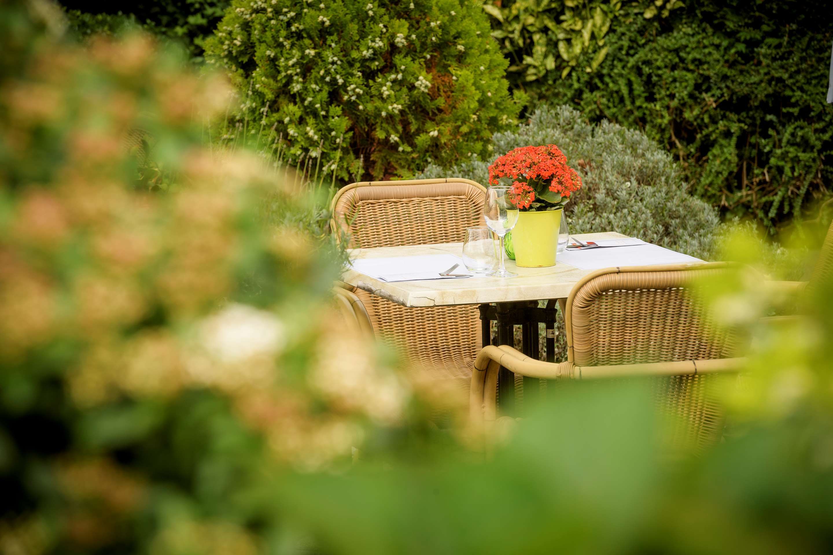 מסעדה תמונה