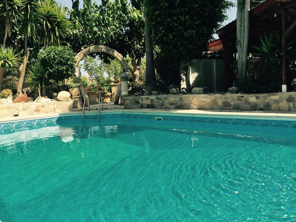 בריכה תמונה