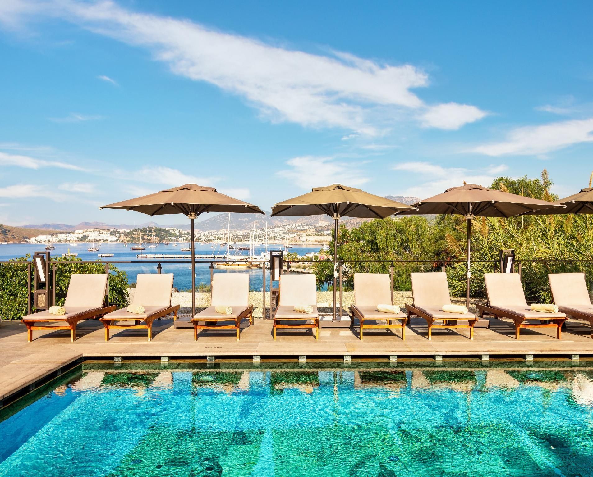 בריכה תמונה