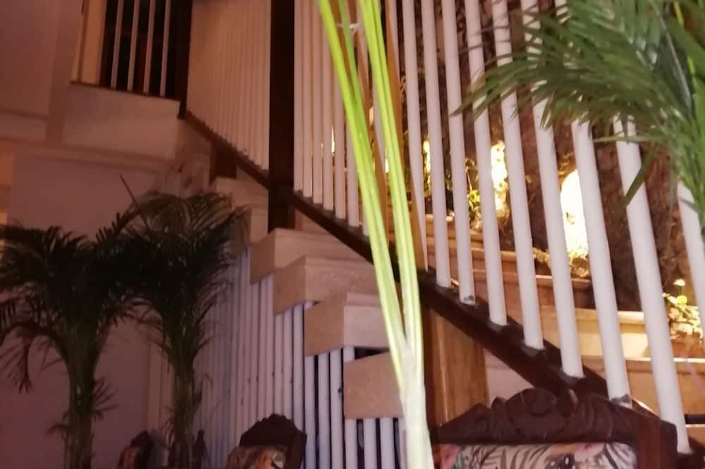 מדרגות תמונה