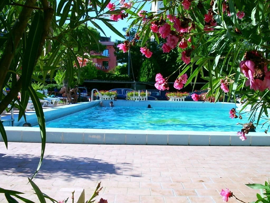 בריכה תמונה