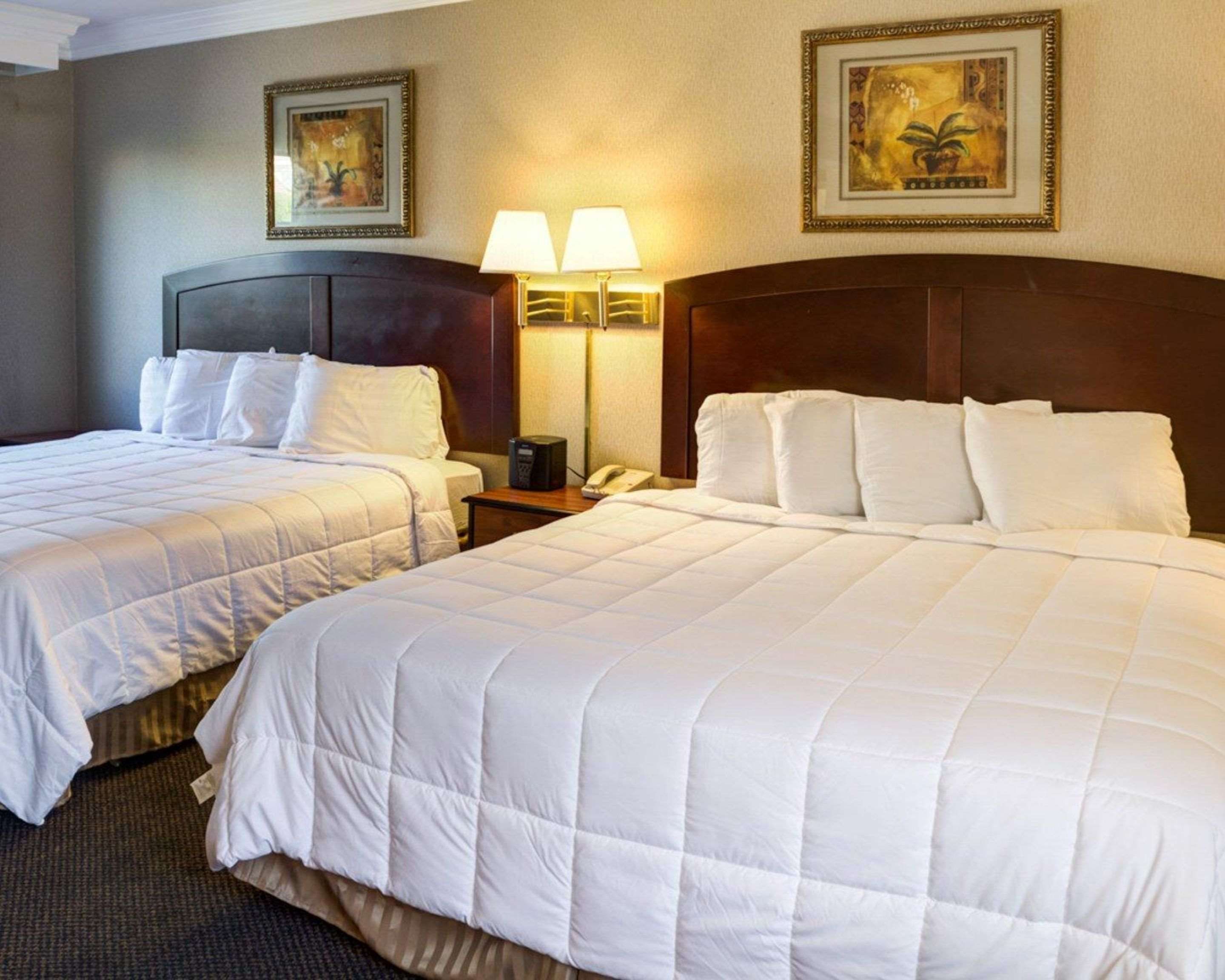 חדר שינה תמונה