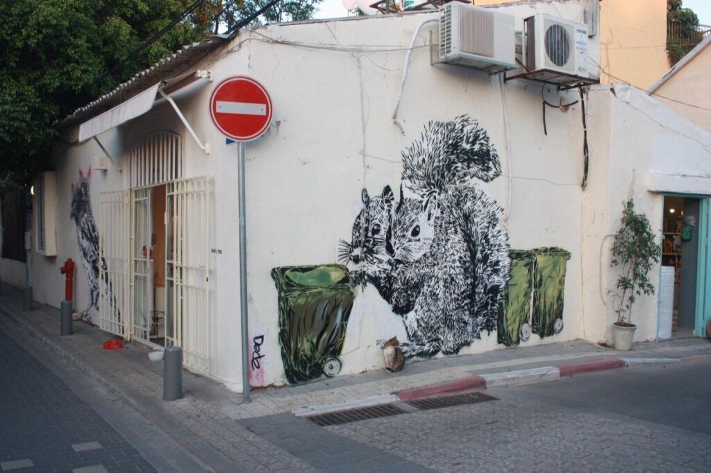 נוף חיצוני