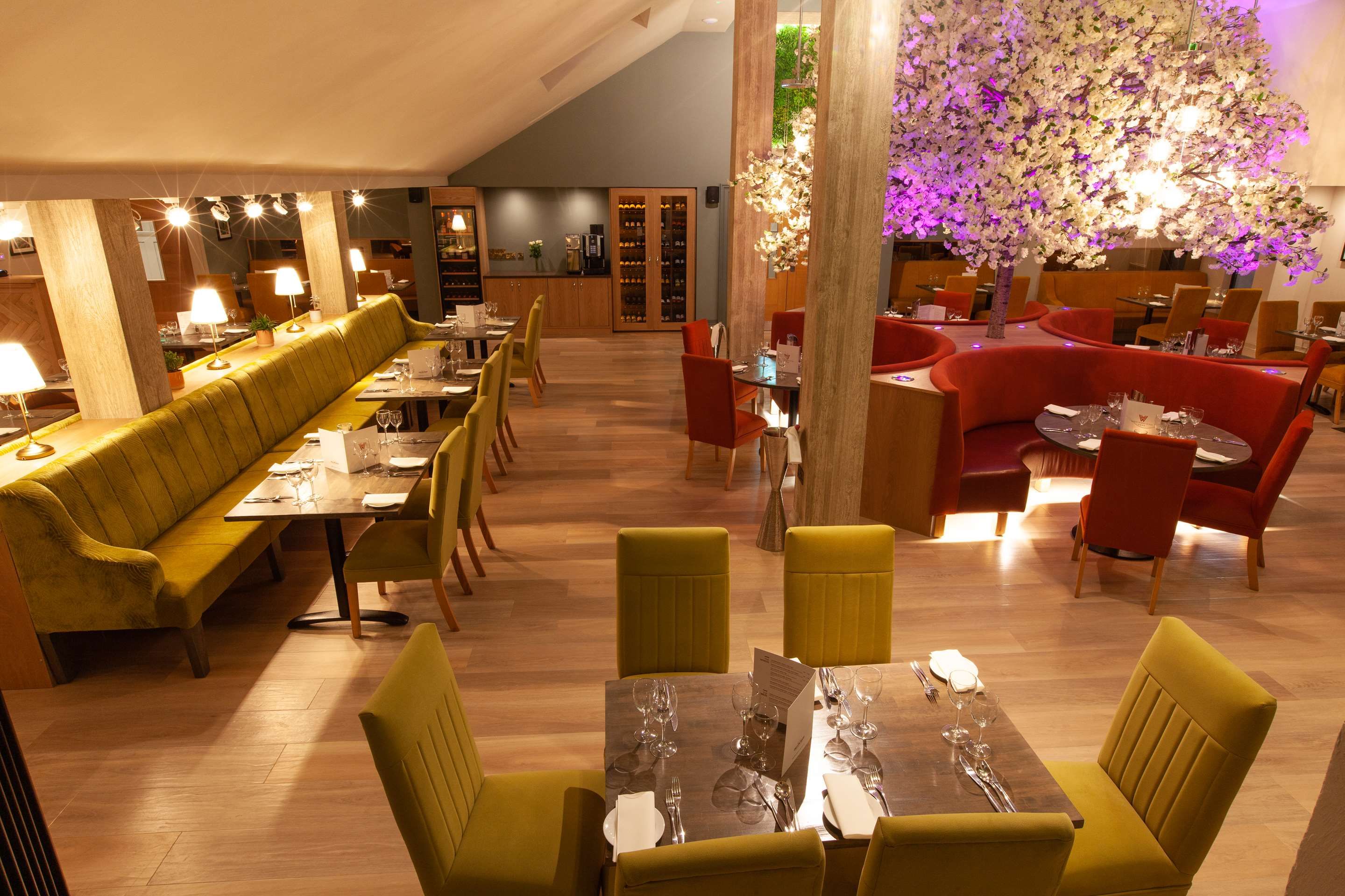 מסעדה תמונה