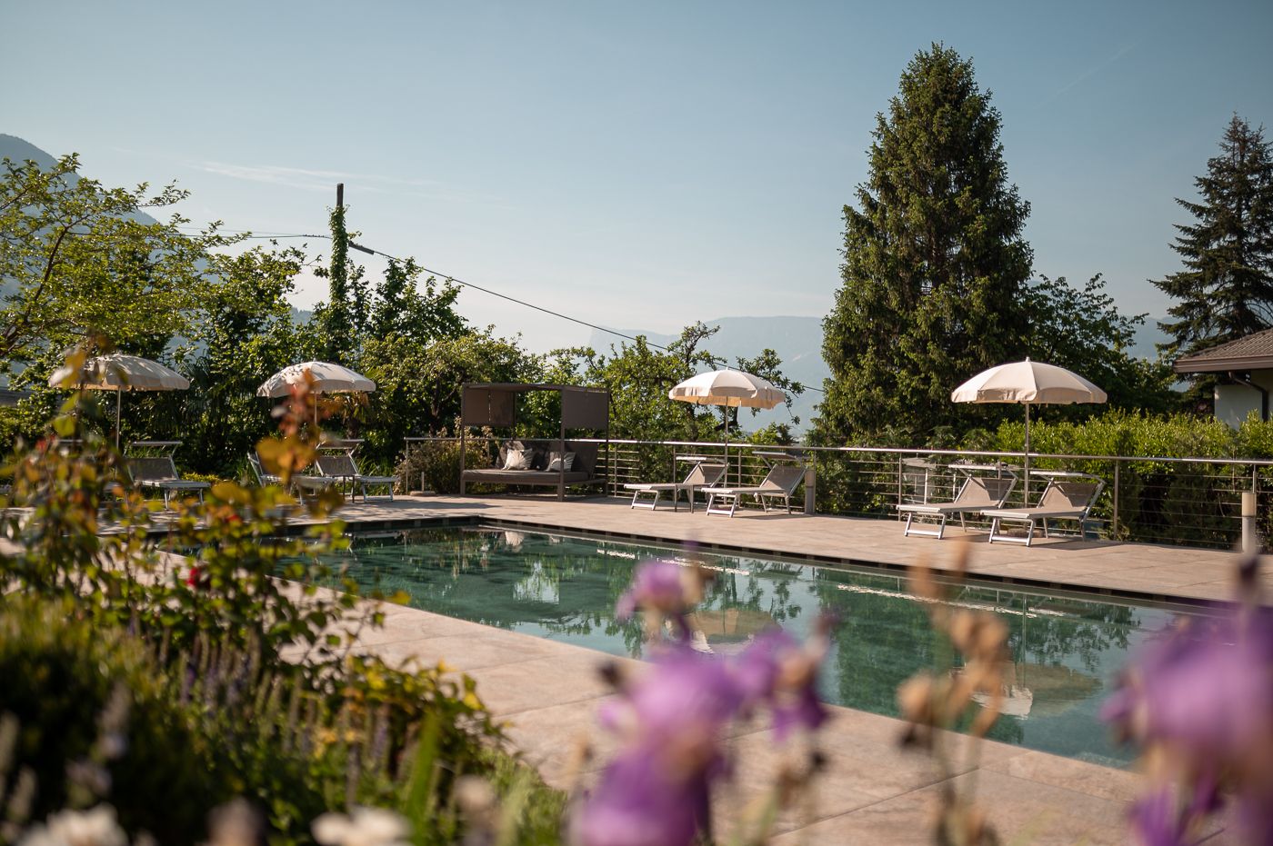 בריכה תמונה