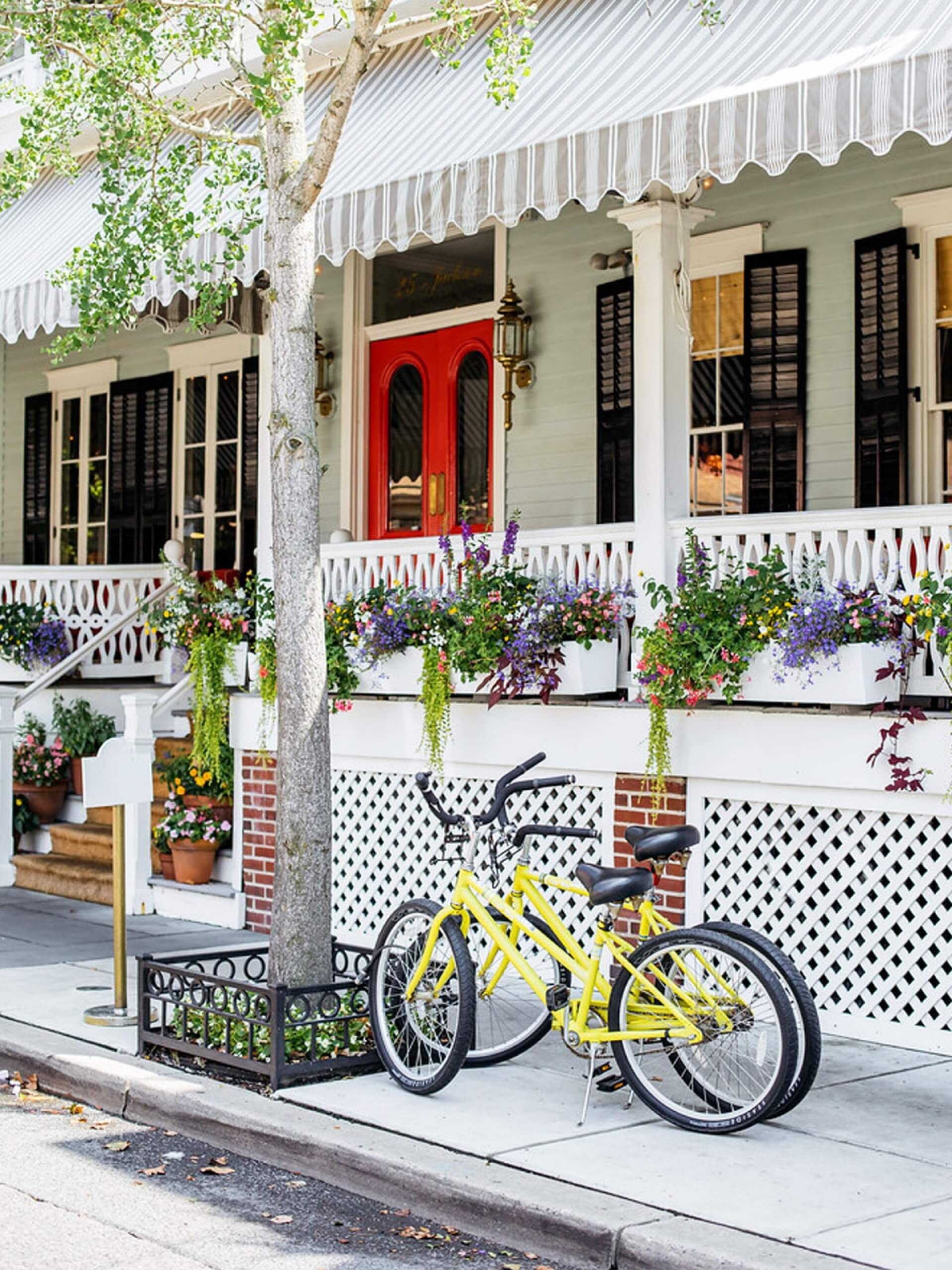 כניסה למלון