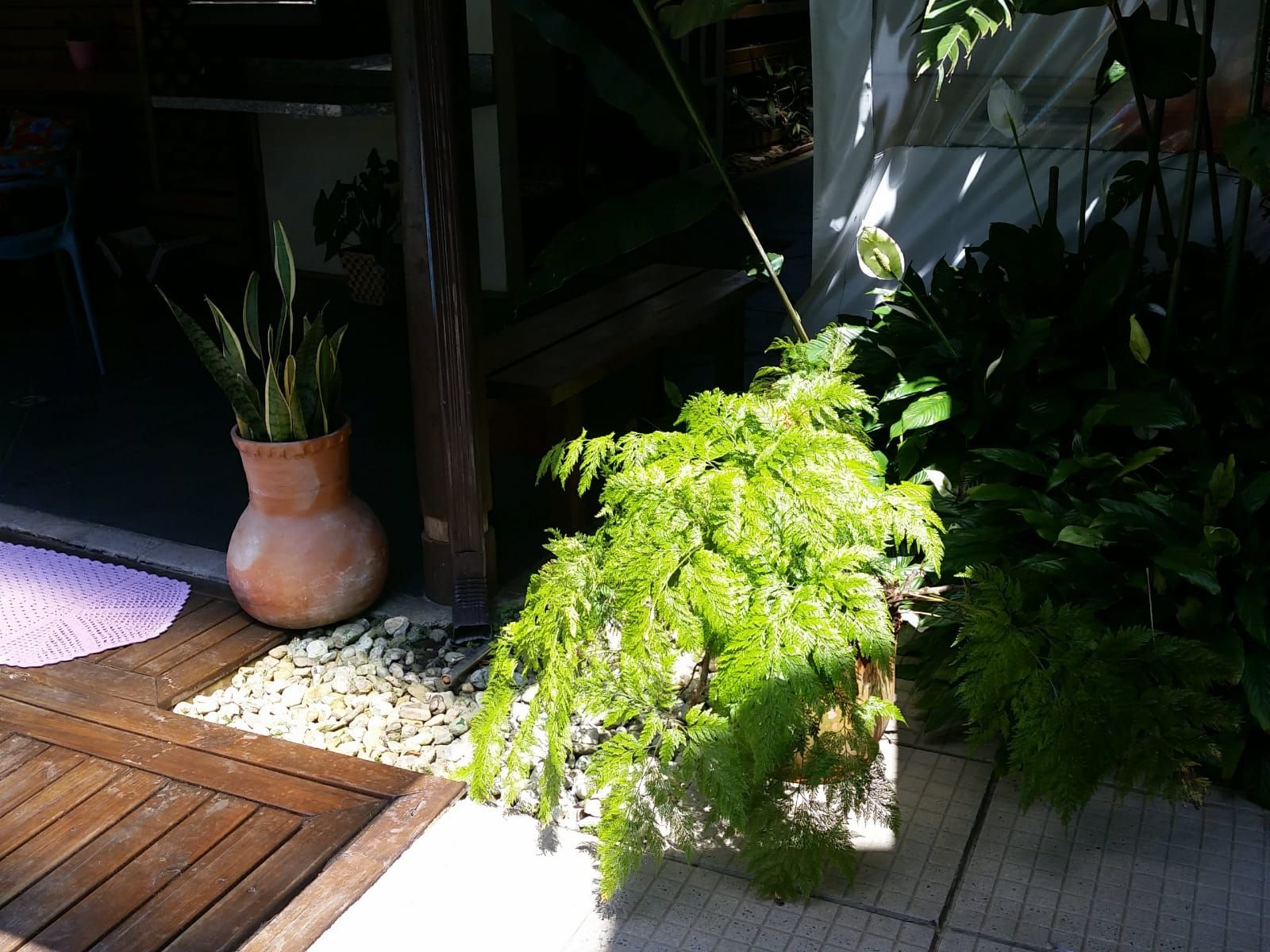 נוחות המלון